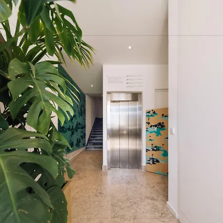 ذا فيزيونير * Lisboa